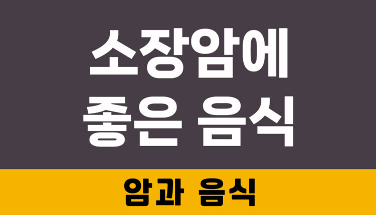 소장암에 좋은 음식